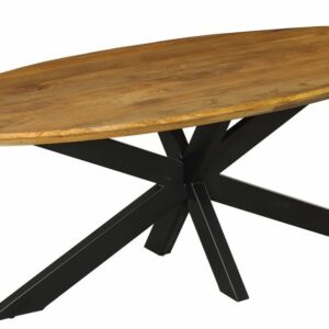 oval wooden top dining table with iron legs